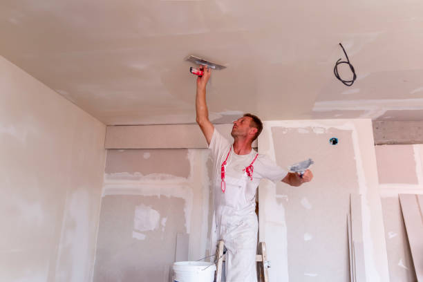 Best Drywall Installation  in Old Orchard, PA